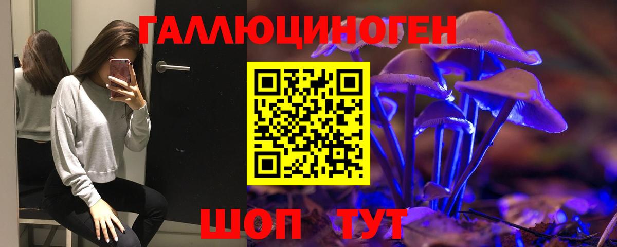 Галлюциногенные грибы Psilocybine cubensis Елабуга
